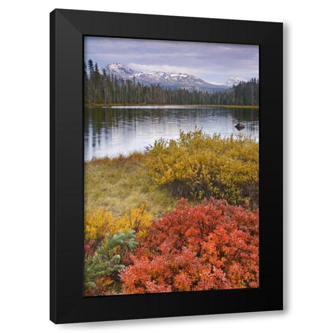 OR, Willamette NF Scott Lake and Three Sisters Black Modern Wood Framed Art Print by Paulson, Don