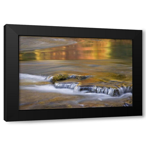 OR, Rogue River NF Autumn reflections Black Modern Wood Framed Art Print by Paulson, Don