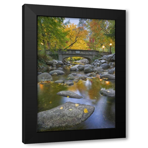 OR, Lithia Park Autumn reflects in Ashland Creek Black Modern Wood Framed Art Print by Paulson, Don