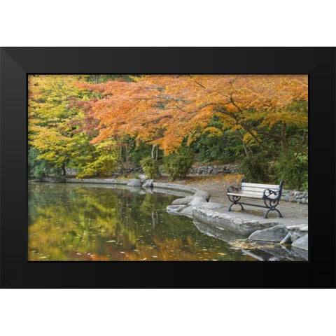 OR, Lithia Park Walkway bench next to pond Black Modern Wood Framed Art Print by Paulson, Don