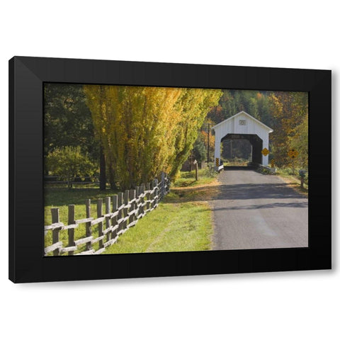 Oregon, Lake Creek Nelson Mountain Bridge Black Modern Wood Framed Art Print by Paulson, Don