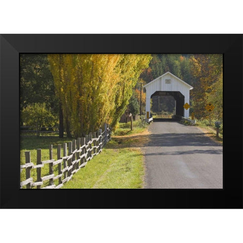 Oregon, Lake Creek Nelson Mountain Bridge Black Modern Wood Framed Art Print by Paulson, Don