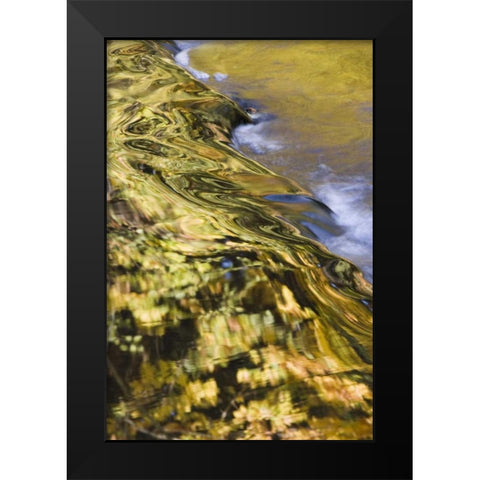 OR, Lake Creek Golden reflections on creek water Black Modern Wood Framed Art Print by Paulson, Don