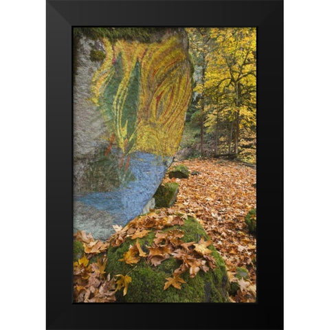 OR, Lake Creek Painted boulder and forest trail Black Modern Wood Framed Art Print by Paulson, Don