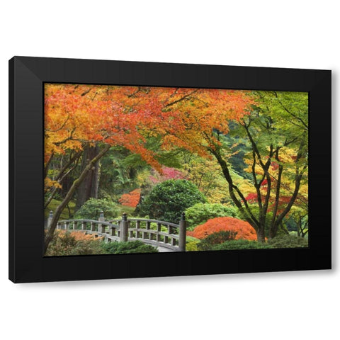 Oregon, Portland Bridge and maple tree in autumn Black Modern Wood Framed Art Print by Paulson, Don