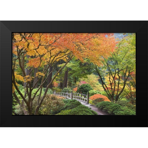 Oregon, Portland Bridge and maple tree in autumn Black Modern Wood Framed Art Print by Paulson, Don