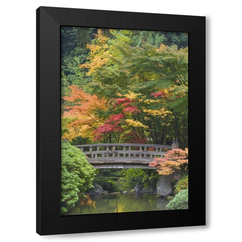 Oregon, Portland Wooden bridge over pond Black Modern Wood Framed Art Print with Double Matting by Paulson, Don