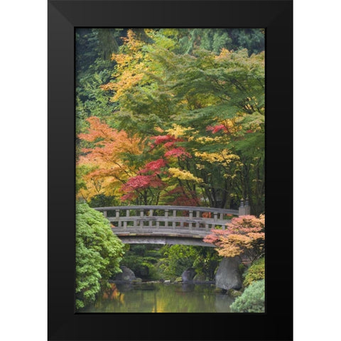 Oregon, Portland Wooden bridge over pond Black Modern Wood Framed Art Print by Paulson, Don