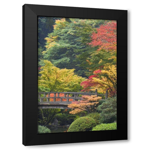Oregon, Portland Wooden bridge over pond Black Modern Wood Framed Art Print with Double Matting by Paulson, Don