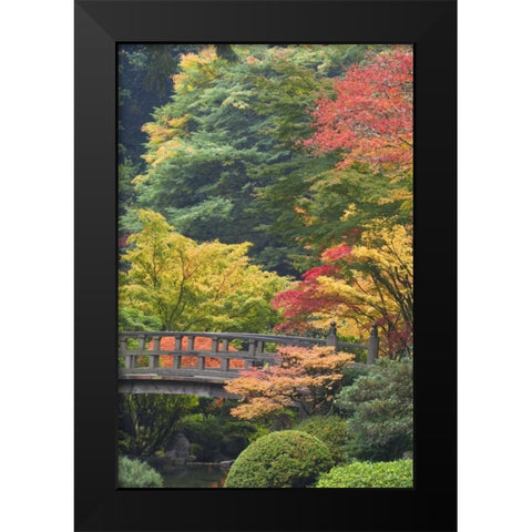 Oregon, Portland Wooden bridge over pond Black Modern Wood Framed Art Print by Paulson, Don