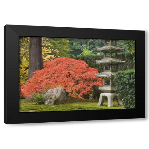 Oregon, Portland Stone tower and Japanese maple Black Modern Wood Framed Art Print with Double Matting by Paulson, Don