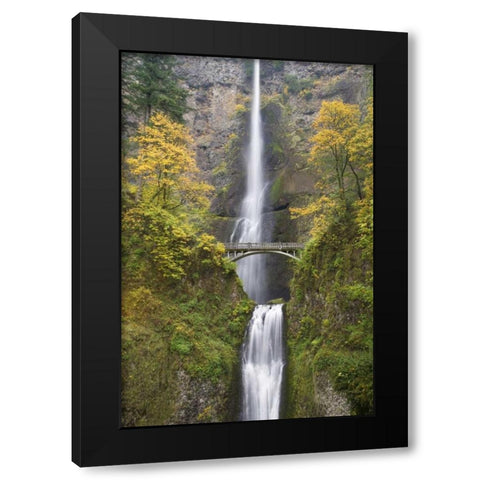 OR, Columbia Gorge Bridge by Multnomah Falls Black Modern Wood Framed Art Print by Paulson, Don
