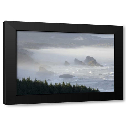 Oregon, Gold Beach Foggy morning on seashore Black Modern Wood Framed Art Print with Double Matting by Kaveney, Wendy