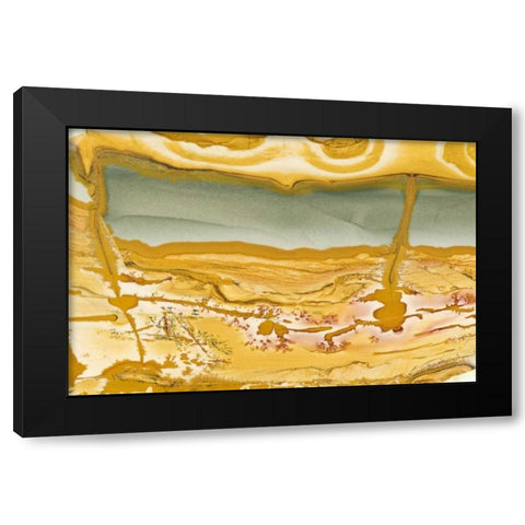 Oregon Close-up of Owyhee Picture Jasper stone Black Modern Wood Framed Art Print with Double Matting by Kirkland, Dennis
