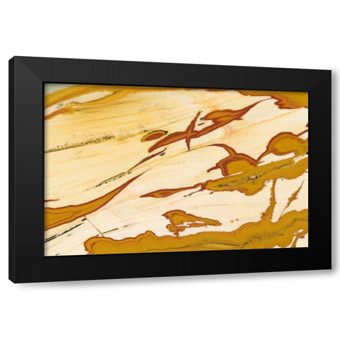 Oregon Close-up of Owyhee Picture Jasper stone Black Modern Wood Framed Art Print with Double Matting by Kirkland, Dennis
