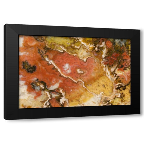Oregon Graveyard Point Plume Agate stone Black Modern Wood Framed Art Print by Kirkland, Dennis