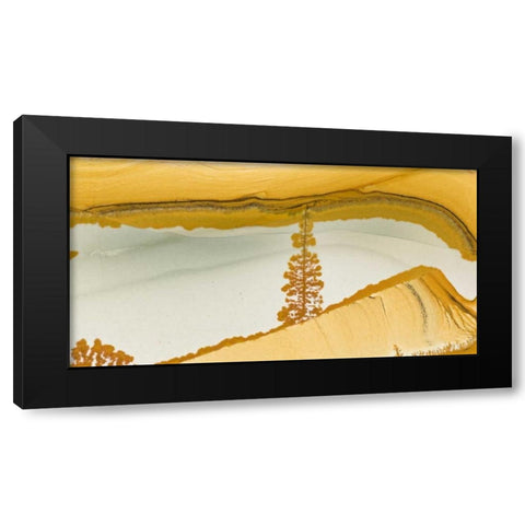 Oregon Close-up of Owyhee Picture Jasper stone Black Modern Wood Framed Art Print by Kirkland, Dennis