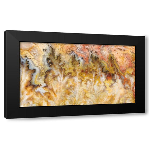 Oregon Graveyard Point Plume Agate stone Black Modern Wood Framed Art Print with Double Matting by Kirkland, Dennis