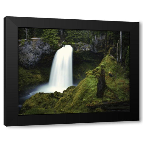 OR, Cascades Waterfall on the McKenzie River Black Modern Wood Framed Art Print with Double Matting by Flaherty, Dennis