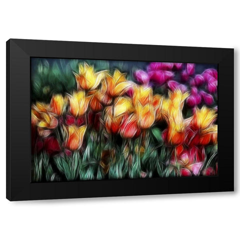 USA, Oregon Abstract of digitally altered tulips Black Modern Wood Framed Art Print with Double Matting by Carter, Jean