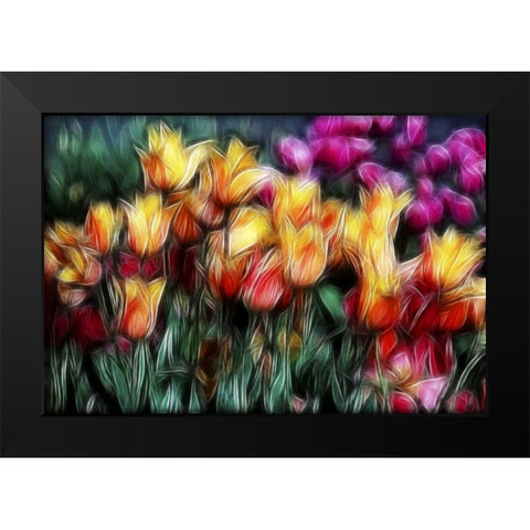USA, Oregon Abstract of digitally altered tulips Black Modern Wood Framed Art Print by Carter, Jean