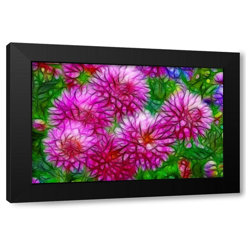 Oregon Abstract of pink dahlias Black Modern Wood Framed Art Print by Carter, Jean
