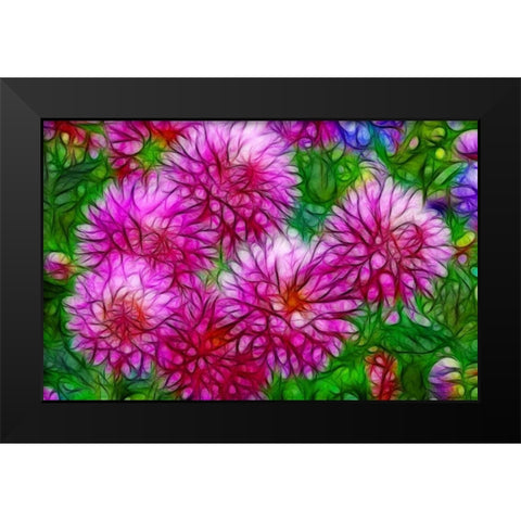 Oregon Abstract of pink dahlias Black Modern Wood Framed Art Print by Carter, Jean