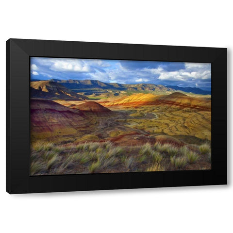 OR, John Day Fossil Beds NM, Painted Hills Unit Black Modern Wood Framed Art Print by Carter, Jean