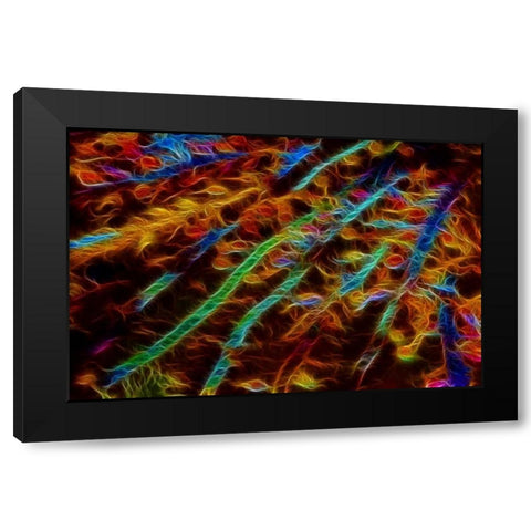 OR, Bandon Abstract of Pacific sea kelp Black Modern Wood Framed Art Print with Double Matting by Carter, Jean