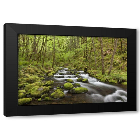 Oregon, Columbia River Gorge Gorton Creek Black Modern Wood Framed Art Print by Paulson, Don