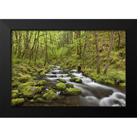 Oregon, Columbia River Gorge Gorton Creek Black Modern Wood Framed Art Print by Paulson, Don