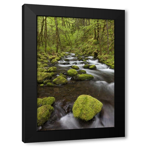 Oregon, Columbia River Gorge Gorton Creek Black Modern Wood Framed Art Print with Double Matting by Paulson, Don