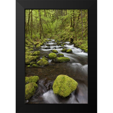 Oregon, Columbia River Gorge Gorton Creek Black Modern Wood Framed Art Print by Paulson, Don