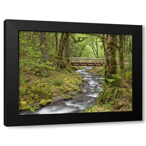 OR, Columbia Gorge Wooden bridge over Creek Black Modern Wood Framed Art Print with Double Matting by Paulson, Don
