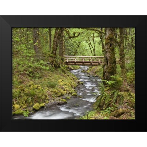 OR, Columbia Gorge Wooden bridge over Creek Black Modern Wood Framed Art Print by Paulson, Don