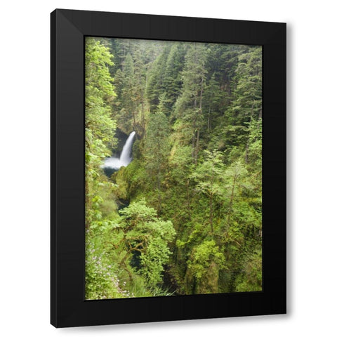 OR, Columbia Gorge Metlako Falls Black Modern Wood Framed Art Print by Paulson, Don