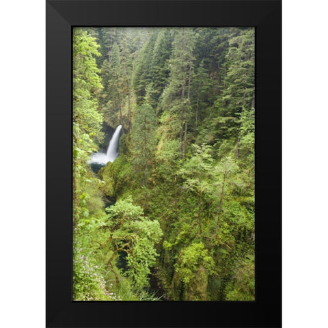 OR, Columbia Gorge Metlako Falls Black Modern Wood Framed Art Print by Paulson, Don