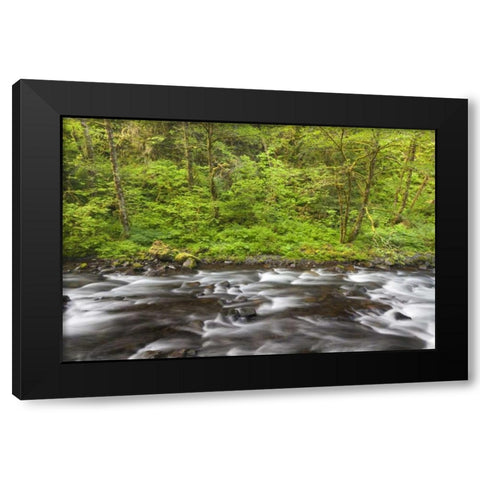 Oregon, Columbia River Gorge Tanner Creek Black Modern Wood Framed Art Print by Paulson, Don