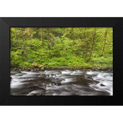 Oregon, Columbia River Gorge Tanner Creek Black Modern Wood Framed Art Print by Paulson, Don
