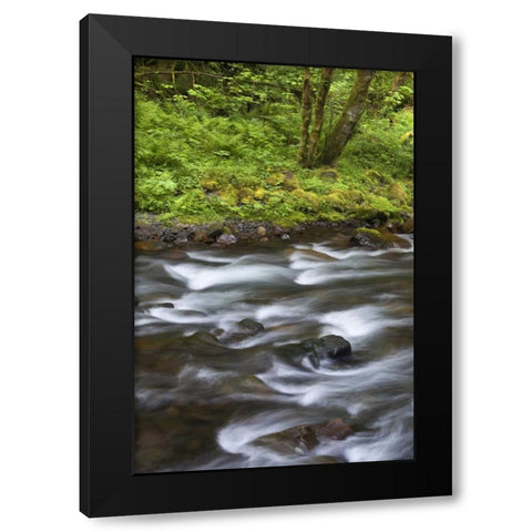 Oregon, Columbia River Gorge Tanner Creek Black Modern Wood Framed Art Print by Paulson, Don