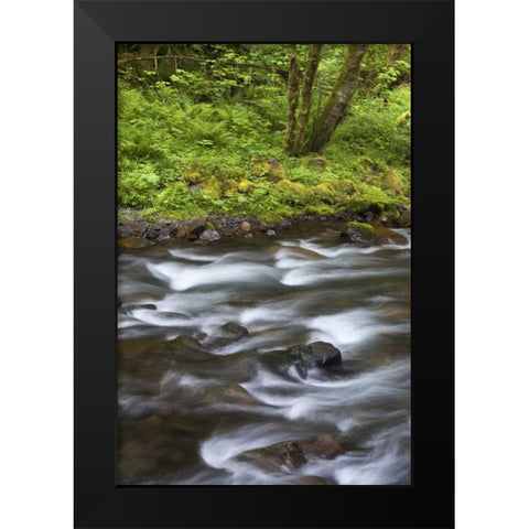 Oregon, Columbia River Gorge Tanner Creek Black Modern Wood Framed Art Print by Paulson, Don