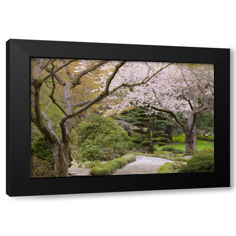 Oregon, Ashland Spring scenic in Lithia Park Black Modern Wood Framed Art Print by Paulson, Don