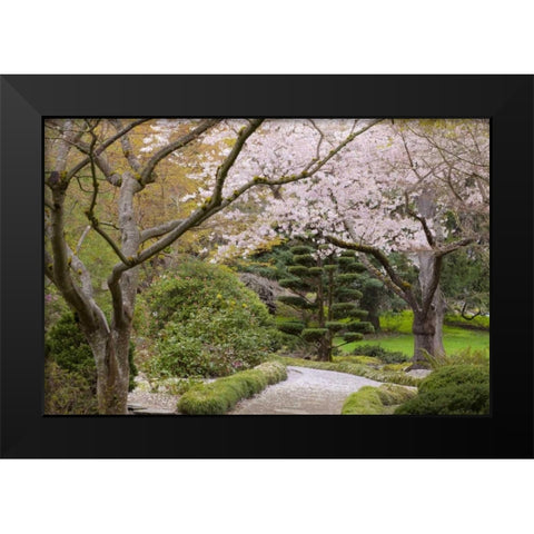 Oregon, Ashland Spring scenic in Lithia Park Black Modern Wood Framed Art Print by Paulson, Don