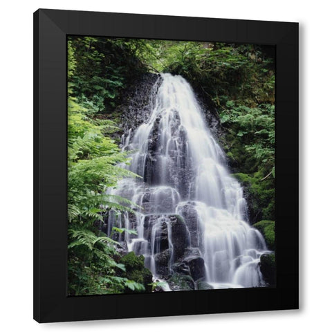 USA, Oregon, A Waterfall amongst ferns Black Modern Wood Framed Art Print with Double Matting by Talbot Frank, Christopher