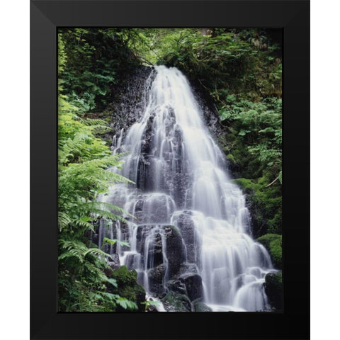 USA, Oregon, A Waterfall amongst ferns Black Modern Wood Framed Art Print by Talbot Frank, Christopher