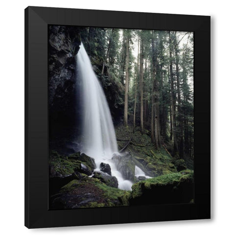 USA, Oregon, A waterfall in an old-growth forest Black Modern Wood Framed Art Print with Double Matting by Talbot Frank, Christopher