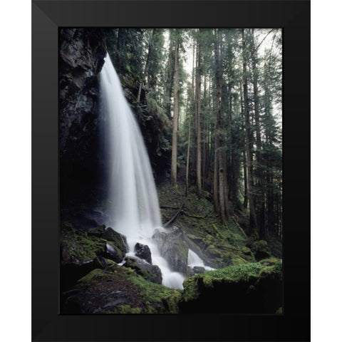 USA, Oregon, A waterfall in an old-growth forest Black Modern Wood Framed Art Print by Talbot Frank, Christopher