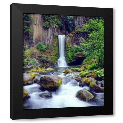 Oregon, Toketee Waterfall and Basalt Formation Black Modern Wood Framed Art Print with Double Matting by Talbot Frank, Christopher