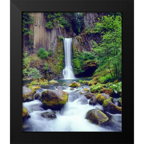 Oregon, Toketee Waterfall and Basalt Formation Black Modern Wood Framed Art Print by Talbot Frank, Christopher