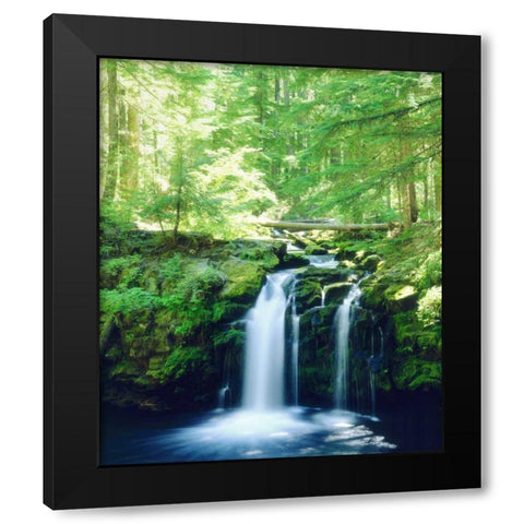 USA, Oregon, Whitehorse Waterfall in Oregon Black Modern Wood Framed Art Print with Double Matting by Talbot Frank, Christopher